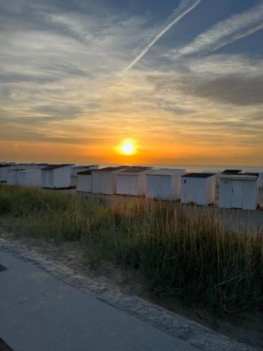 Vue Sur Dunes ! Sangatte Eksteriør bilde