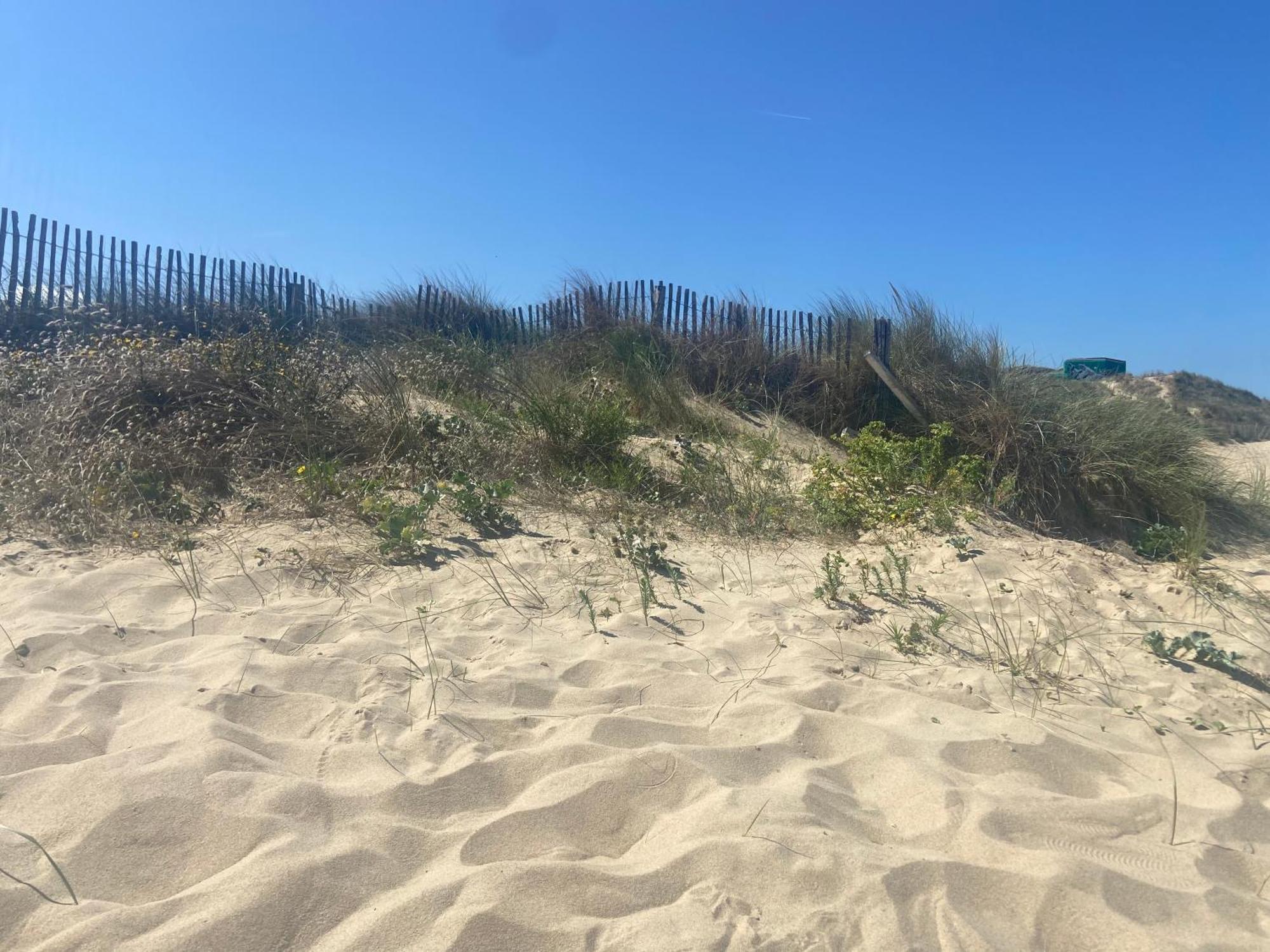 Vue Sur Dunes ! Sangatte Eksteriør bilde